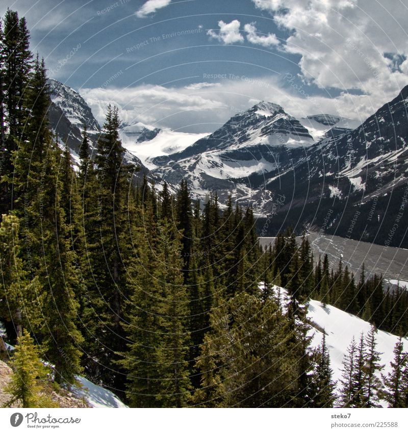 Icefields Parkway Ferien & Urlaub & Reisen Schnee Berge u. Gebirge Baum Schneebedeckte Gipfel Flussufer Natur Kanada Tanne Rocky Mountains Farbfoto