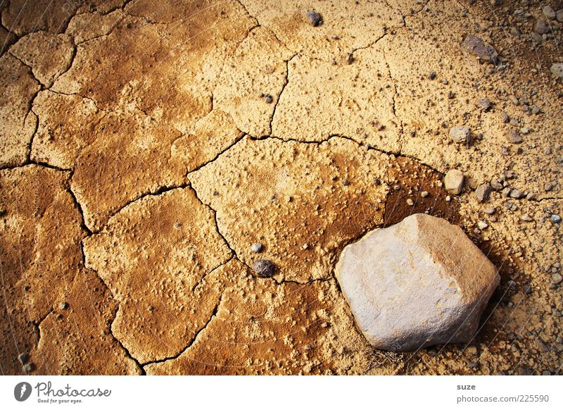 Extra dry Umwelt Natur Erde Klima Klimawandel Dürre Wüste nachhaltig trocken braun Riss karg Stein Ocker Menschenleer Vogelperspektive Sand