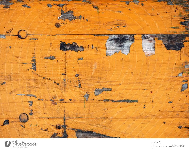 Jenseits des Mainstream | Orangerie Bank Farbstoff Kratzer Spuren Abnutzung Zahn der Zeit Hintergrundbild alt nah orange Verfall Vergänglichkeit Zerstörung