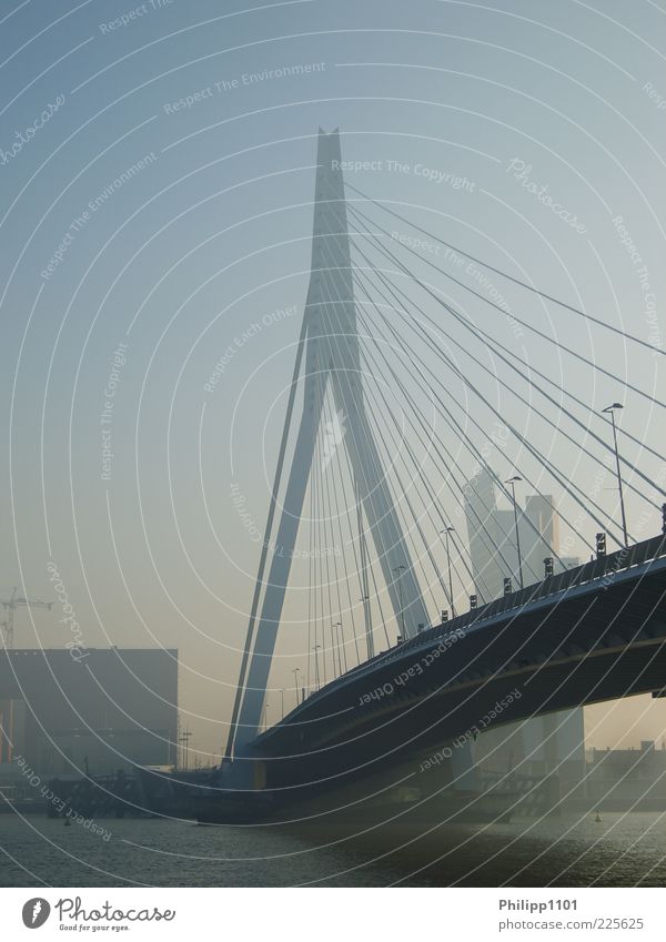 Erasmusbrücke in Rotterdam Stadt Stadtzentrum Menschenleer Brücke Bauwerk Architektur ästhetisch Sehenswürdigkeit Farbfoto Außenaufnahme Morgen