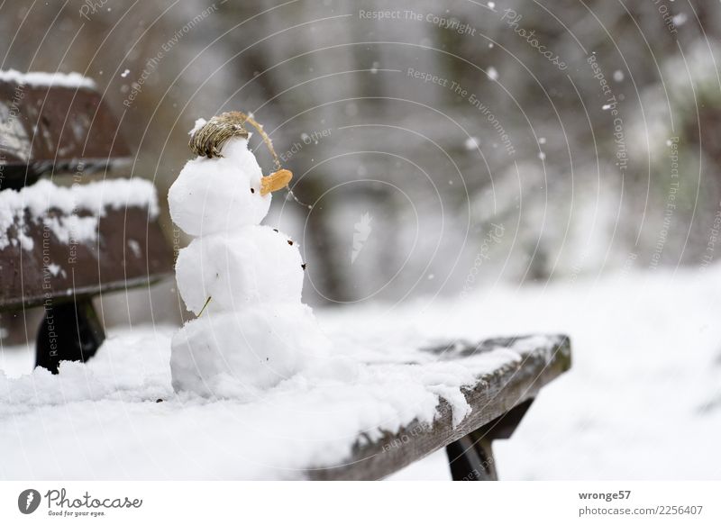 Winterbaustelle Freizeit & Hobby kalt klein braun weiß Schneefall Schneemann Parkbank Farbfoto Gedeckte Farben Außenaufnahme Nahaufnahme Menschenleer