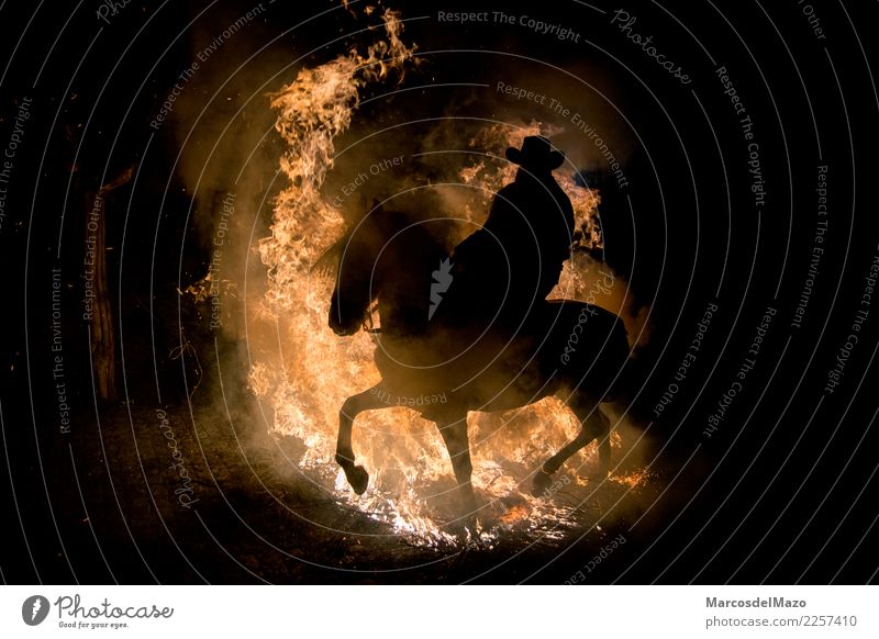 Der Mann springend mit Pferd über einem Feuer Ferien & Urlaub & Reisen Tourismus Ausflug Abenteuer Feste & Feiern Reiten Mensch Erwachsene 1 Kultur Tier