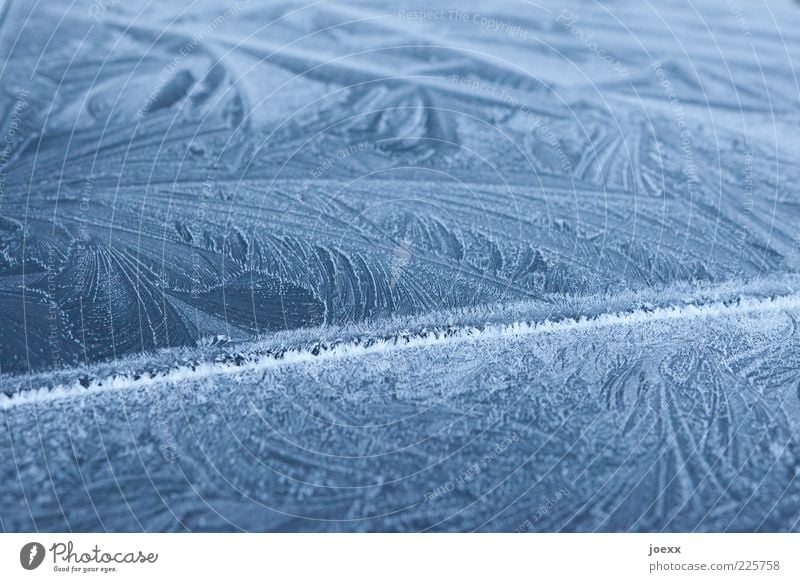 Aufgeblüht Winter Eis Frost kalt Eisblumen Kristallstrukturen Hintergrundbild Farbfoto Außenaufnahme Muster Strukturen & Formen Tag Schwache Tiefenschärfe