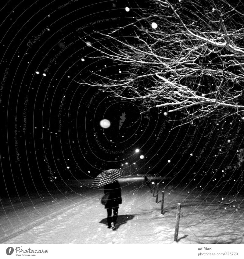 auf dem richtigen Weg. gehen 1 Mensch Natur Eis Frost Schnee Schneefall Baum Ast Zufriedenheit Erwartung Fortschritt Schwarzweißfoto Nacht Blitzlichtaufnahme