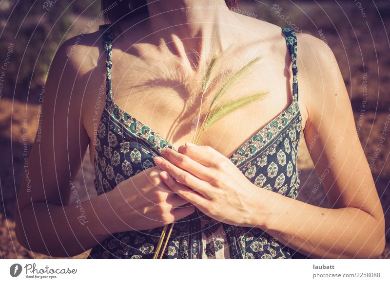 Atem Gesundheitswesen Alternativmedizin Allergie Wellness Leben Wohlgefühl Zufriedenheit Sinnesorgane Erholung ruhig Sommer Sonnenbad Frau Erwachsene Brust Hand