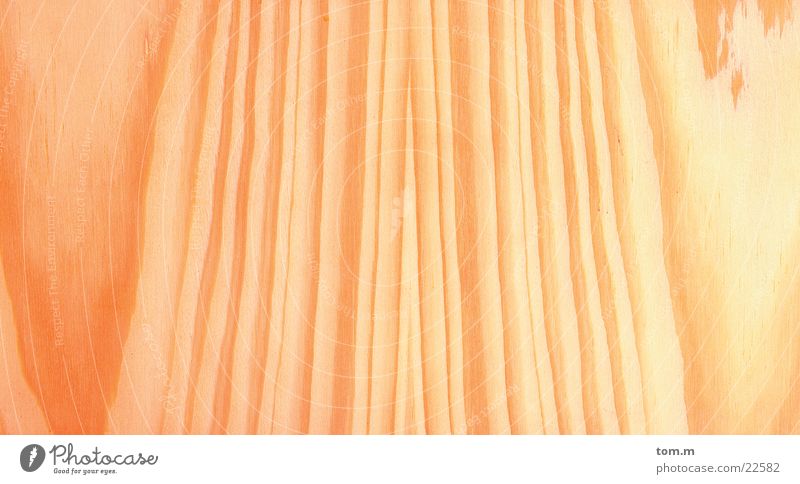 Holzmaserung Rohstoffe & Kraftstoffe braun geschnitten Maserung Detailaufnahme Makroaufnahme Natur Holzbrett Haarschnitt