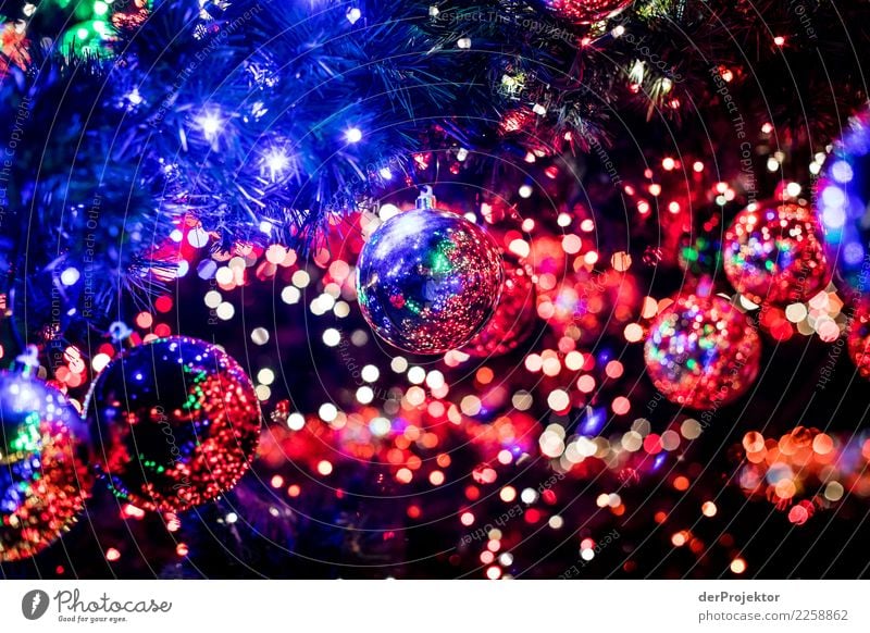 Christmas flash Feste & Feiern Weihnachten & Advent Gefühle Stimmung Freude Glück Fröhlichkeit Zufriedenheit Lebensfreude Vorfreude Begeisterung Euphorie