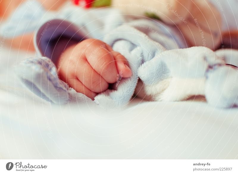 Baby Hand Kind Kleinkind Finger 0-12 Monate 1-3 Jahre klein Gefühle Warmherzigkeit Glück Idylle Kindheit Kindererziehung Geburt Kinderhand Farbfoto