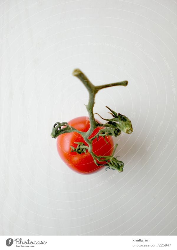 Fast schon Ketchup Lebensmittel Gemüse Tomate Ernährung Bioprodukte Vegetarische Ernährung Diät dehydrieren Gesundheit lecker grün rot weiß Appetit & Hunger