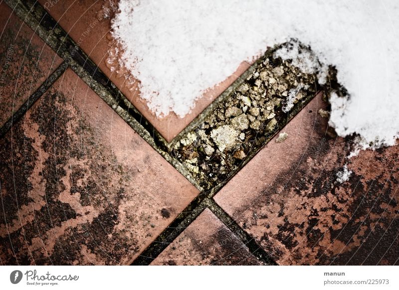 renovierungsbedürftig Winter Eis Frost Schnee Bodenbelag Bodenplatten Fliesen u. Kacheln Stein alt dreckig authentisch kalt kaputt retro Verfall Vergänglichkeit