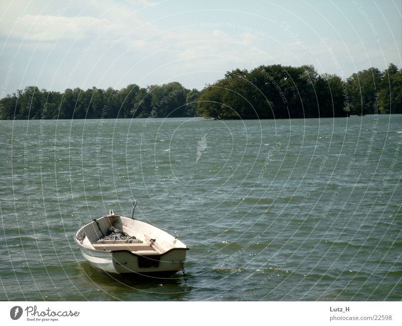 Boot auf dem see See Wasserfahrzeug Baum Kleine Wellen Winstille