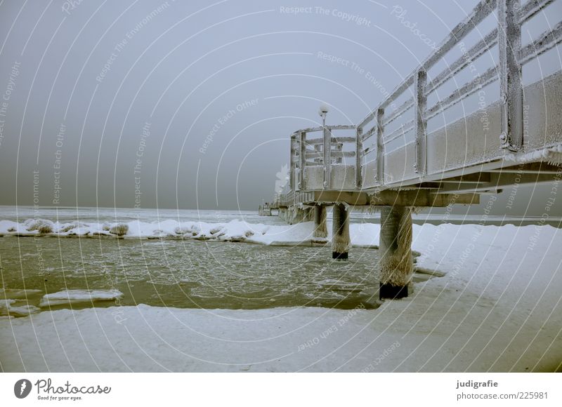 Ostsee Umwelt Natur Landschaft Winter Klima Eis Frost Schnee Küste Strand Meer Wustrow Darß Brücke kalt natürlich Stimmung Tourismus Seebrücke Farbfoto