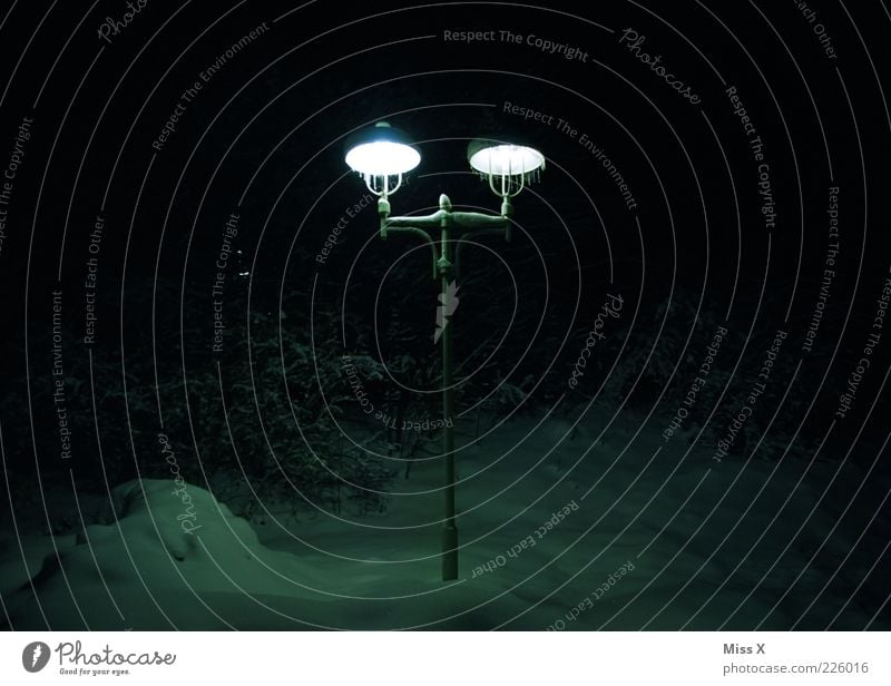 Lampe Winter Park leuchten dunkel hell kalt Beleuchtung Eiszapfen Frost Schnee Straßenbeleuchtung Außenaufnahme Menschenleer Textfreiraum links