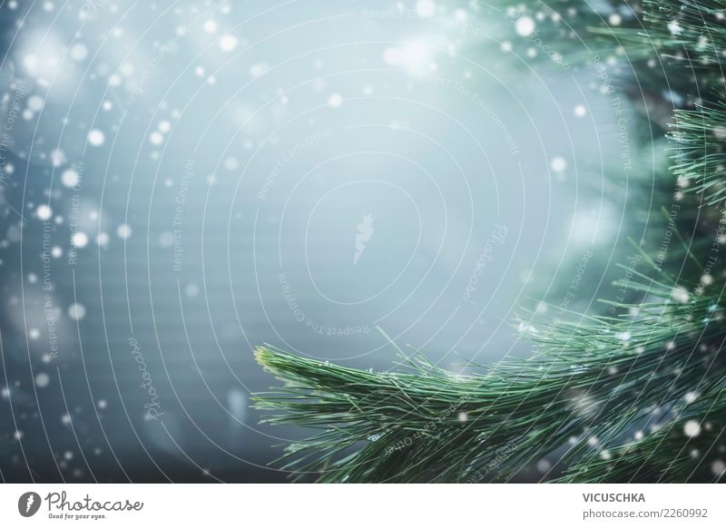 Winter Natur Hintergrund mit Tannenzweige Lifestyle Design Ferien & Urlaub & Reisen Weihnachten & Advent Landschaft Schönes Wetter Schnee Pflanze