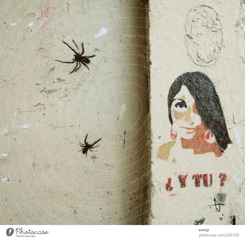 Spinnen feminin Junge Frau Jugendliche 1 Mensch 18-30 Jahre Erwachsene Mauer Wand Fassade alt Graffiti Französisch Comic Fragezeichen Farbfoto