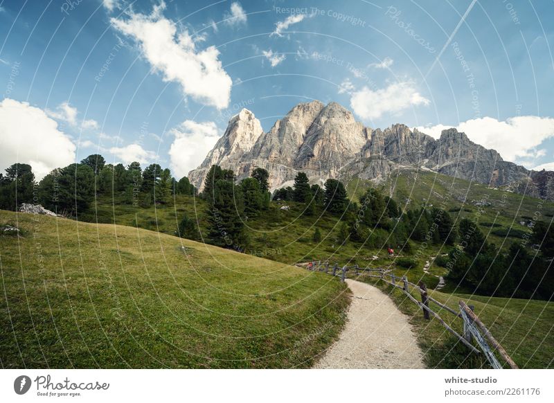 Dolomiten Berge u. Gebirge wandern Südtirol Sport Außenaufnahme Erholung Erholungsgebiet Wege & Pfade Fußweg Peitlerkofel Farbfoto