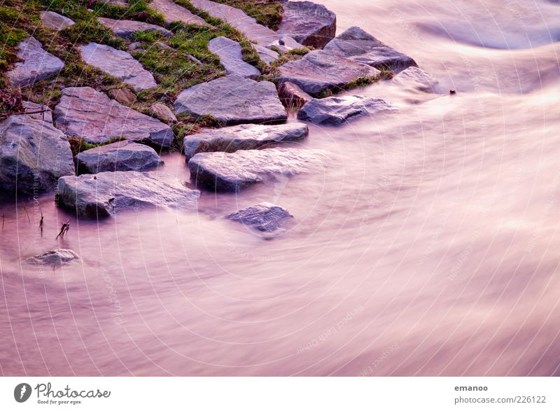mitreißend standhaft Umwelt Natur Wasser Wellen Flussufer Insel Bach Wasserfall Bewegung bedrohlich Flüssigkeit nass Kraft aufregend Stein fließen weich Gras