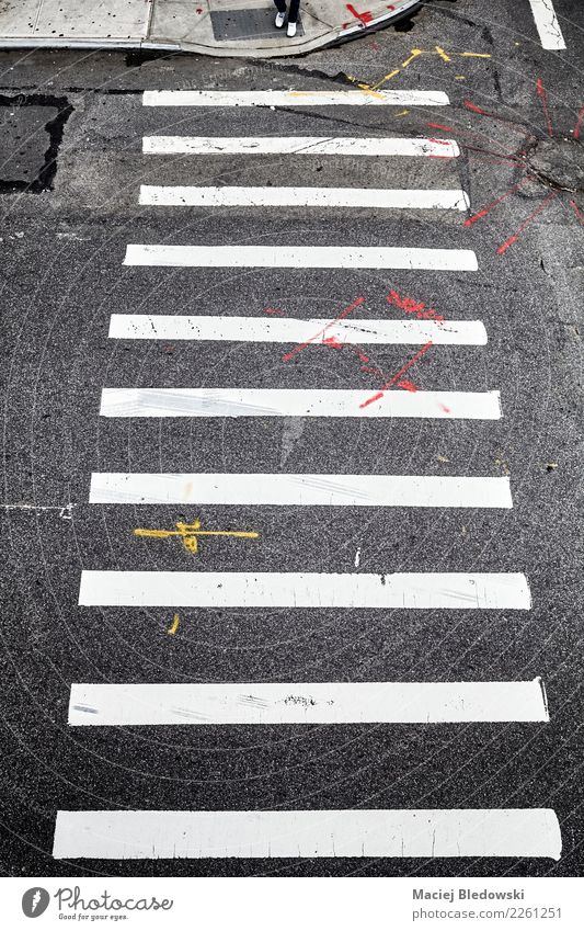 Fußgängerübergang in New York City von oben. Stadt Straße Verkehrszeichen Klischee schwarz weiß Mut Sicherheit Schutz gehorsam Sorge Stress Partnerschaft