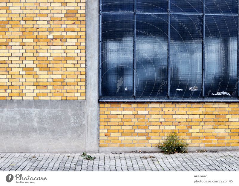 Schlechte Zeiten Menschenleer Haus Industrieanlage Fabrik Bauwerk Gebäude Architektur Mauer Wand Fassade Fenster alt blau gelb Vergangenheit Vergänglichkeit