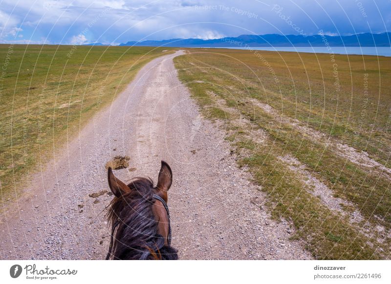 Vom Pferd zurück, Kirgisistan Lifestyle Freizeit & Hobby Ferien & Urlaub & Reisen Sommer Berge u. Gebirge Sport Natur Landschaft Tier Gras Park Wiese See