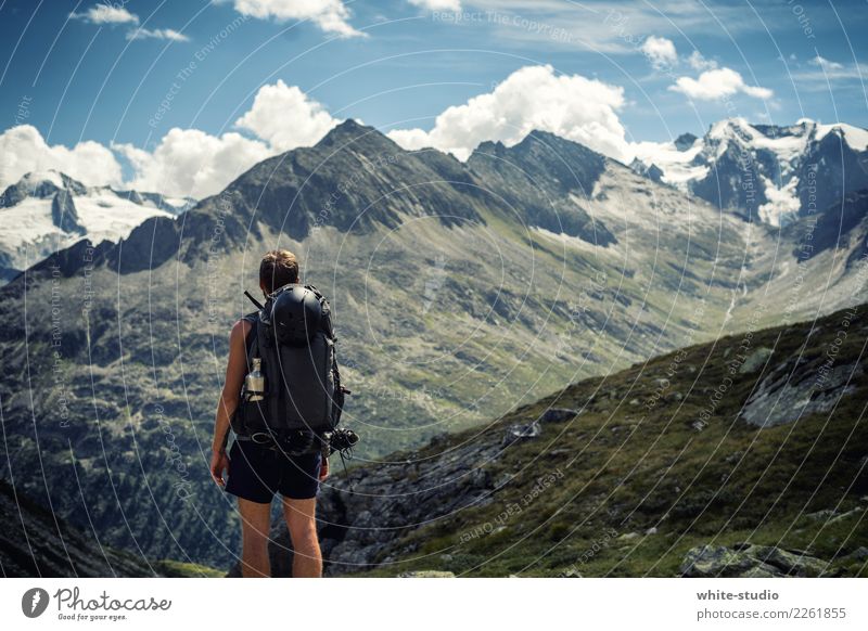 Hoch hinauf Lifestyle Freude Sommer Sommerurlaub Sonne Berge u. Gebirge wandern Mensch maskulin Mann Erwachsene Leben 1 Natur Hügel Felsen Alpen Gipfel