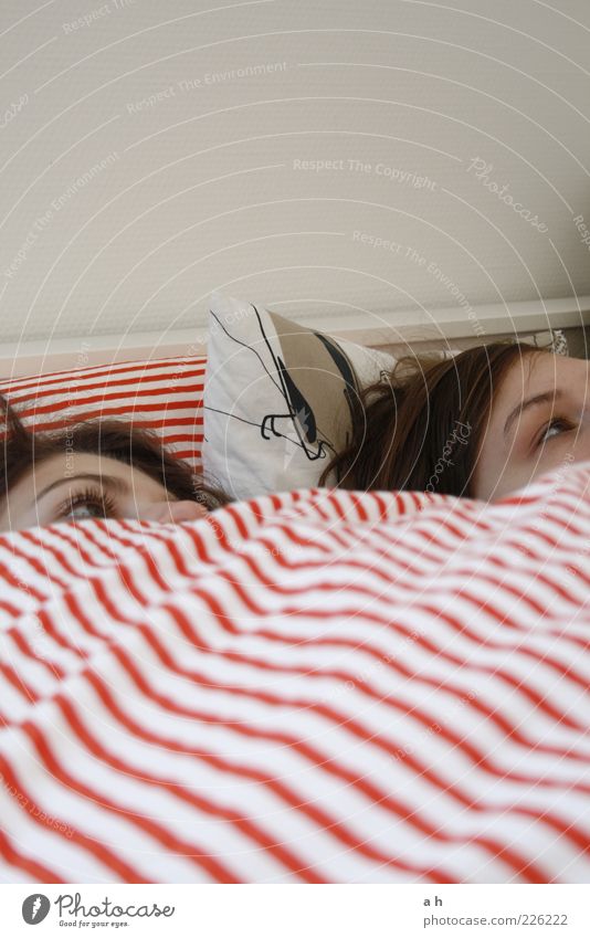 bettgeflüster Erholung Bett Raum Schlafzimmer Mensch Auge 2 18-30 Jahre Jugendliche Erwachsene beobachten liegen Zusammensein rot weiß ruhig Neugier Interesse