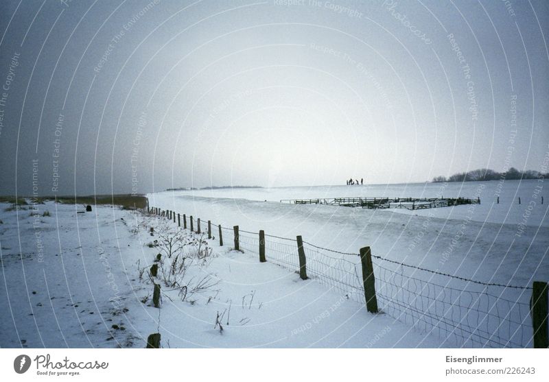 Spaziergang Glück Ferne Freiheit Landschaft Himmel Eis Frost Schnee Ostsee Lebensfreude graue Wolken Zaun Zaunpfahl Maschendrahtzaun Weide Winter Farbfoto
