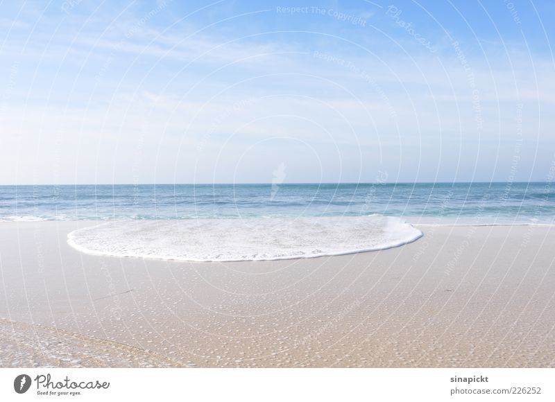 die welle Umwelt Natur Landschaft Urelemente Sand Wasser Himmel Sommer Schönes Wetter Wellen Küste Meer ästhetisch außergewöhnlich Ferne schön blau Freiheit
