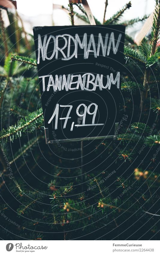 Handwritten price tag for 'Nordmann Tannenbaum' Natur kaufen Preisschild Weihnachtsbaum Weihnachten & Advent Blumenladen Kreide Tafel Preistafel Winter Farbfoto