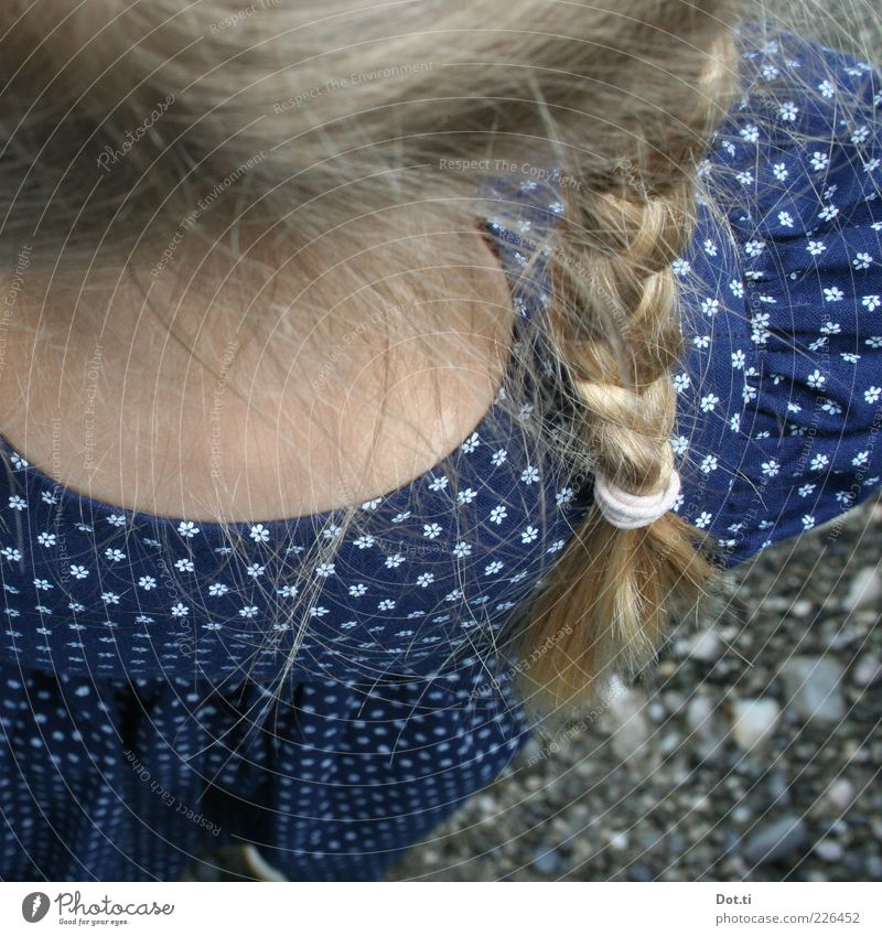 blondes Mädchen mit geflochtenem Zopf und Dirndl Stil Haare & Frisuren Mensch feminin Kindheit Rücken 1 Bekleidung Kleid Stoff blau Romantik Tradition