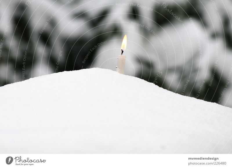 Winterromantik Feuer Gefühle Stimmung Kerze rein weiß Schwache Tiefenschärfe Haufen Schnee Kerzenflamme Farbfoto Menschenleer 1 Romantik heiß kalt Außenaufnahme