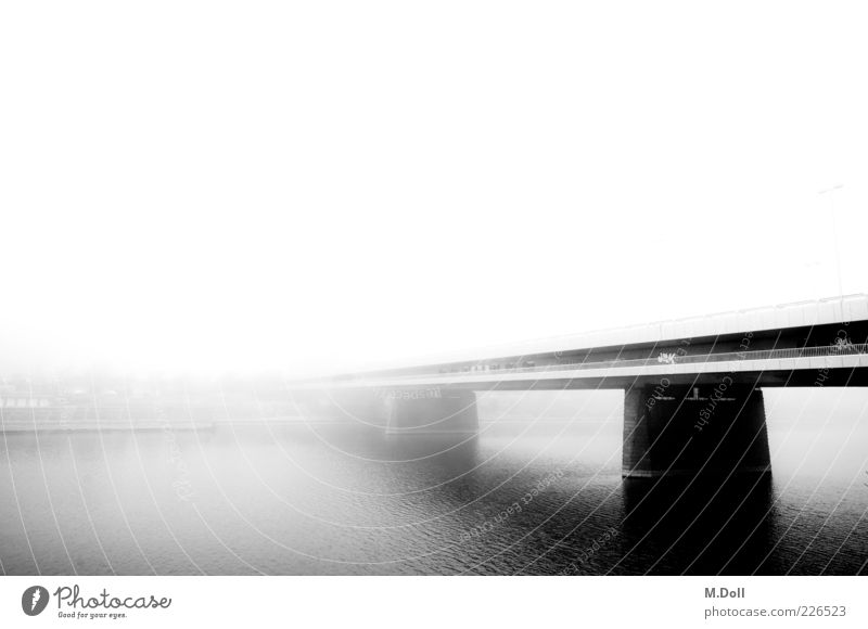 Donauinsel Hauptstadt Stadtrand Brücke Bauwerk Architektur Metall Kunst Nebel Schwarzweißfoto Außenaufnahme Menschenleer Tag Weitwinkel Textfreiraum oben