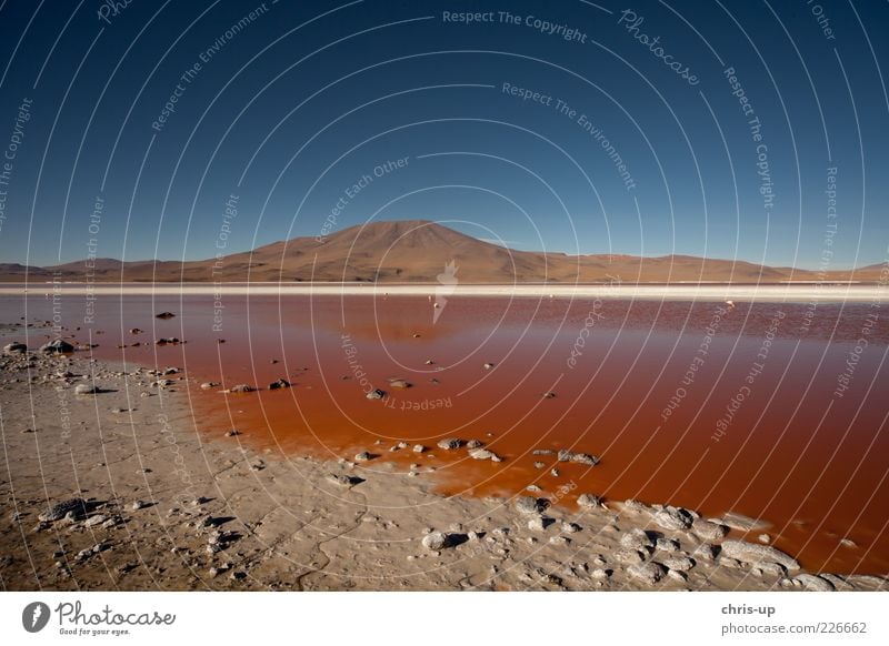 Rotes Wasser, Lagune Ferne Freiheit Berge u. Gebirge Umwelt Natur Landschaft Erde Sand Seeufer dreckig blau braun rot Erholung Ewigkeit Farbe Bolivien