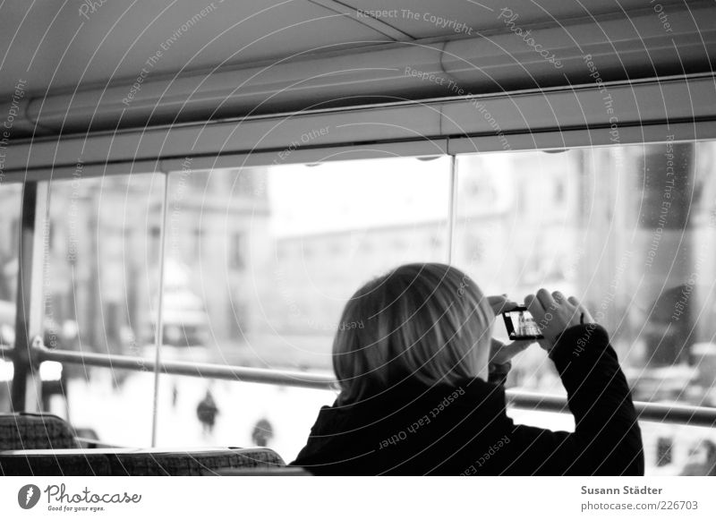 Sightseeing Ferien & Urlaub & Reisen Tourismus Städtereise Kopf Haare & Frisuren Altstadt entdecken Sehenswürdigkeit Dresden Bus Mensch Glasscheibe Fenster