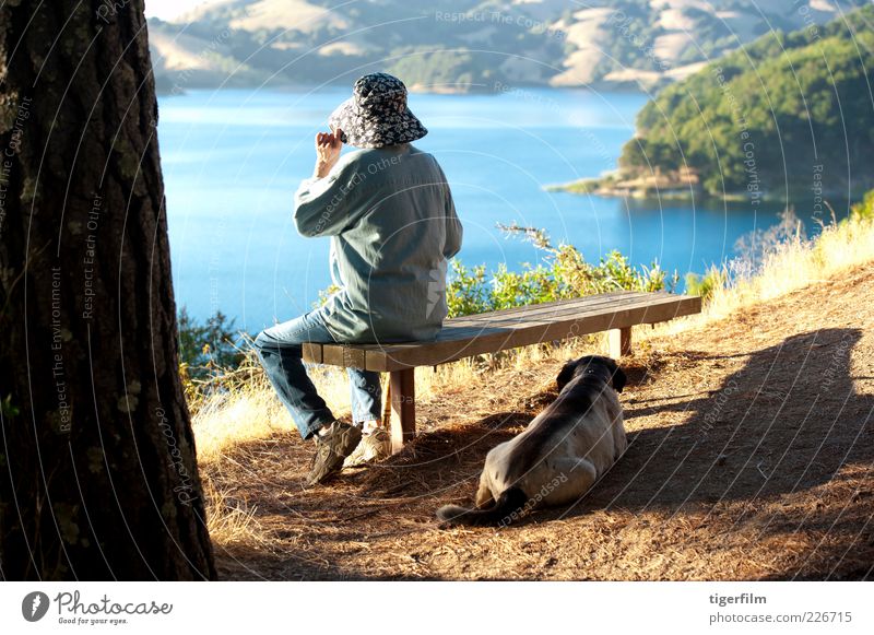 mit Blick auf einen See Senior Dame Frau alt Hund ruhen Stausee Kalifornien Schönes Wetter Sonnenlicht Nachmittag Stock kleben Spazierstock Bank blau Hügel Hut