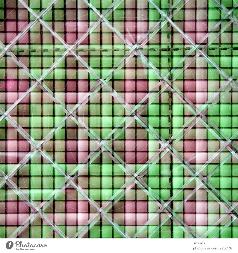Grid Lifestyle Stil Design Linie außergewöhnlich eckig trendy einzigartig verrückt grün rosa Farbe skurril Surrealismus Hintergrundbild Raster Farbfoto