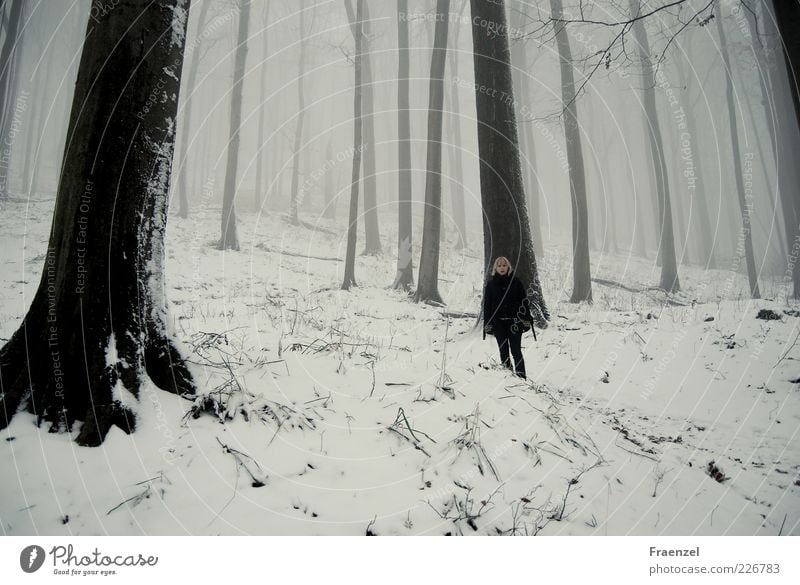 ...steht im Walde... Mensch 1 Natur Landschaft Pflanze Erde Nebel Schnee Baum Berge u. Gebirge Schneebedeckte Gipfel frieren Ferien & Urlaub & Reisen wandern