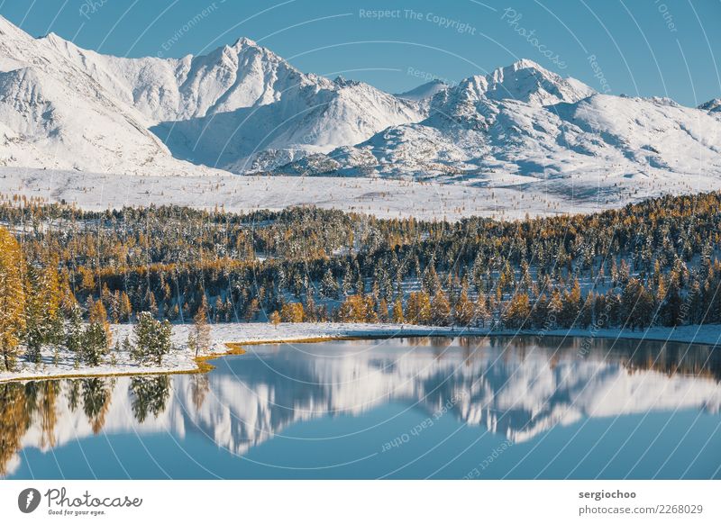 sibirische Alpen Natur Landschaft Wasser Herbst Winter Schönes Wetter Eis Frost Schnee Baum Berge u. Gebirge Seeufer authentisch Weisheit Ziel Spiegel
