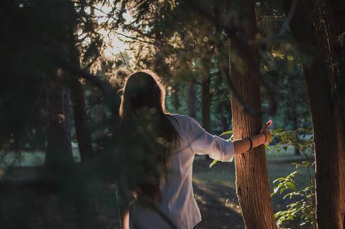Lebensstilfoto eines Mädchens im Wald an der goldenen Stunde Lifestyle Stil Freude Glück schön Haare & Frisuren Freiheit Sommer Sonne Mensch feminin Frau