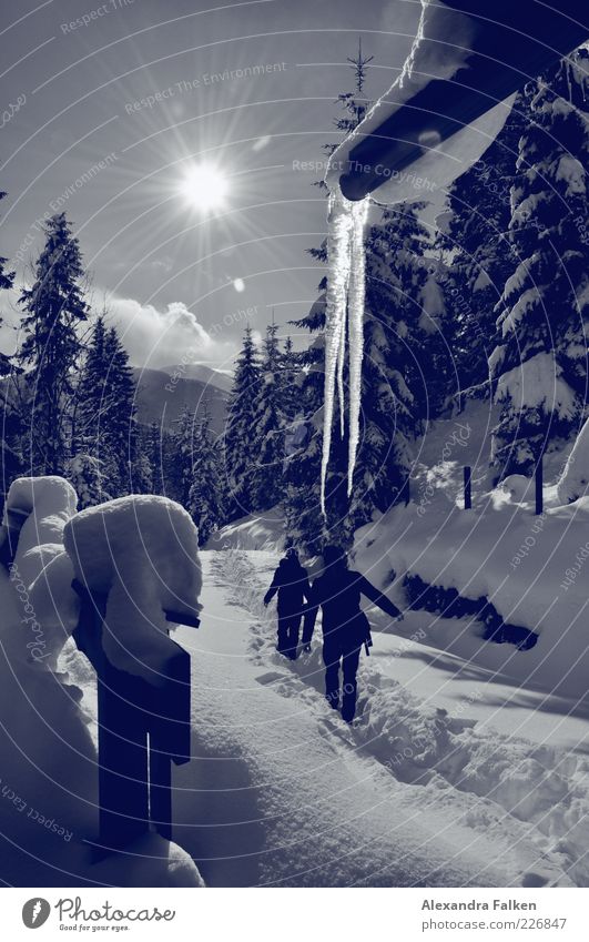 Schnee mit Sonne. Freizeit & Hobby Ferien & Urlaub & Reisen Tourismus Ausflug Freiheit Winter Winterurlaub Berge u. Gebirge wandern Österreich Schneedecke