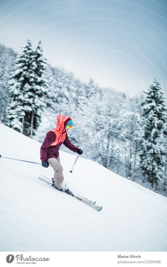 Lady on Ski Freizeit & Hobby Winter Schnee Winterurlaub Sport Wintersport Sportler Skier Skipiste Mensch feminin Junge Frau Jugendliche Erwachsene 1 Umwelt