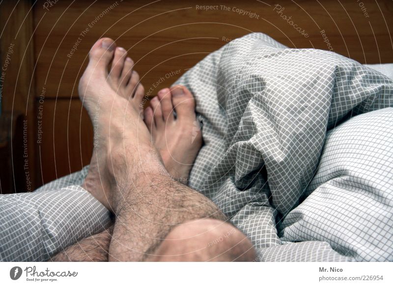 danach Wohlgefühl Zufriedenheit Erholung ruhig maskulin Haut Beine Fuß Behaarung schlafen Müdigkeit Siesta Zehen Bett Bettwäsche Barfuß Langschläfer gekreuzt
