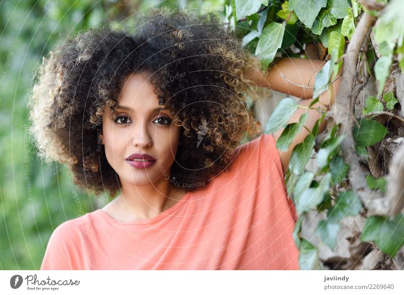 Gemischte Frau mit Afro-Frisur, die in einem Stadtpark steht. Lifestyle Stil schön Haare & Frisuren Gesicht Mensch Junge Frau Jugendliche Erwachsene 1