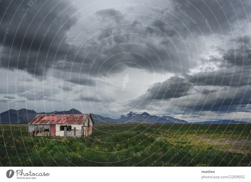 isländischer Frühling Natur Landschaft Pflanze Himmel Wolken Gewitterwolken Horizont Wetter Schönes Wetter schlechtes Wetter Wind Gras Feld Berge u. Gebirge