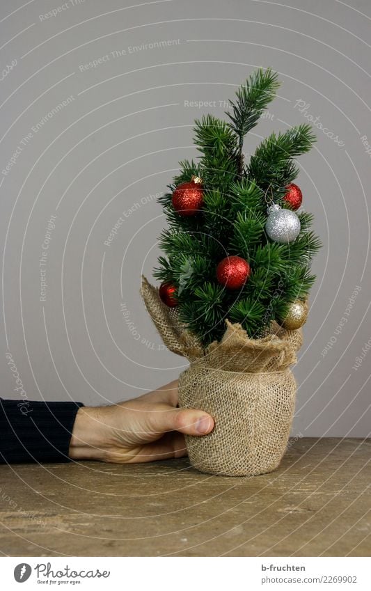 Sparbäumchen Feste & Feiern Weihnachten & Advent Hand Finger festhalten kaufen sparen Armut einfach retro grau bescheiden sparsam Einsamkeit Verbitterung