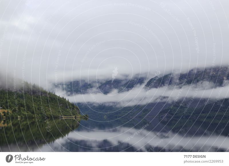 Versteckt Landschaft Wolken Wetter Nebel Felsen Seeufer Fjord Schwimmen & Baden Blick träumen Ferne frei Gelassenheit geduldig ruhig Abenteuer Klima