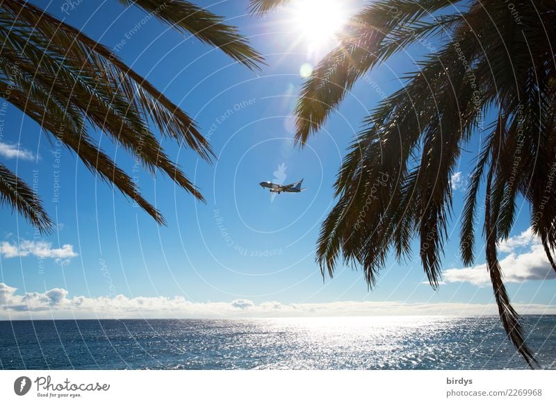 Flugzeug im Landeanflug auf eine tropische Insel . Meer , Sonne , Palmen und blauer Himmel exotisch Passagierflugzeug Ferien & Urlaub & Reisen Tourismus Ferne