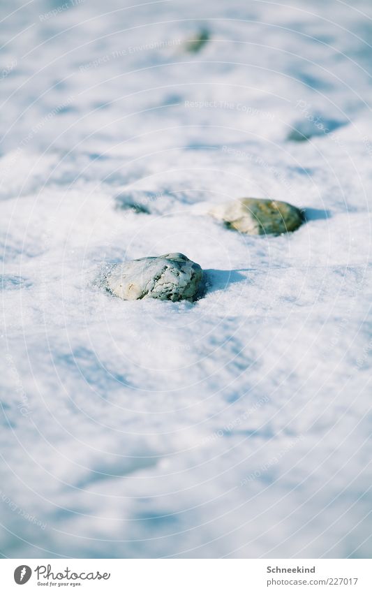 Steiniger Weg Umwelt Natur Winter Eis Frost Schnee Felsen hell kalt weiß Muster Farbfoto Außenaufnahme Detailaufnahme Menschenleer Tag Schatten