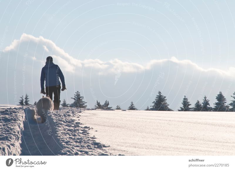 Großspurig Mensch 1 Umwelt Natur Landschaft Himmel Wolken Winter Schönes Wetter Eis Frost Schnee Pflanze Baum Hügel Tier Haustier Hund gehen wandern kalt schön