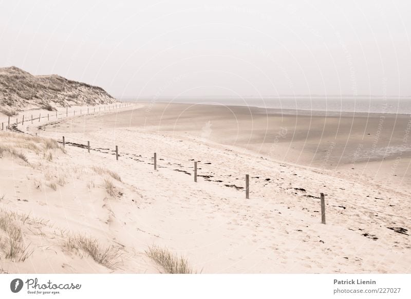 Ebbe Umwelt Natur Landschaft Urelemente Sand Himmel Wetter schlechtes Wetter Küste Nordsee Meer weich Amrum Zaun geschwungen Düne Strand Erholung ruhig